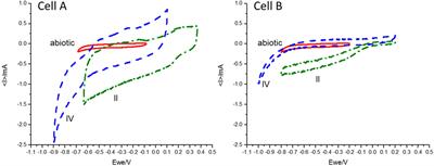 Microbial Community Pathways for the Production of Volatile Fatty Acids From CO2 and Electricity